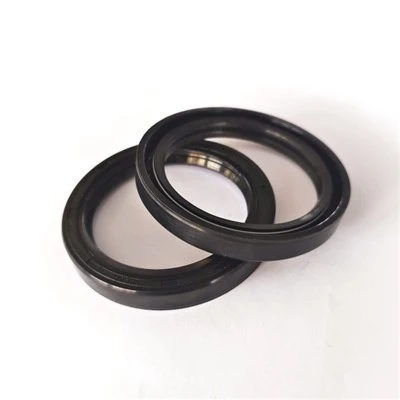 Electric Motor Dynamic Shaft Seal